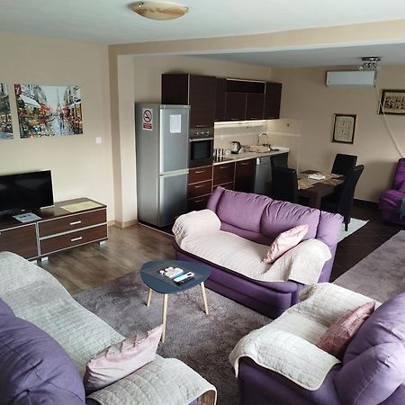 Apartment Filipovic بودغوريتْسا المظهر الخارجي الصورة