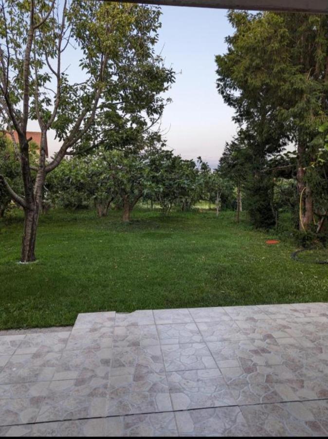 Apartment Filipovic بودغوريتْسا المظهر الخارجي الصورة