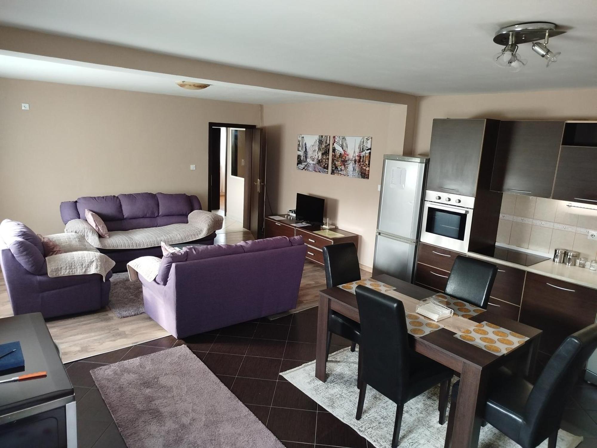 Apartment Filipovic بودغوريتْسا المظهر الخارجي الصورة