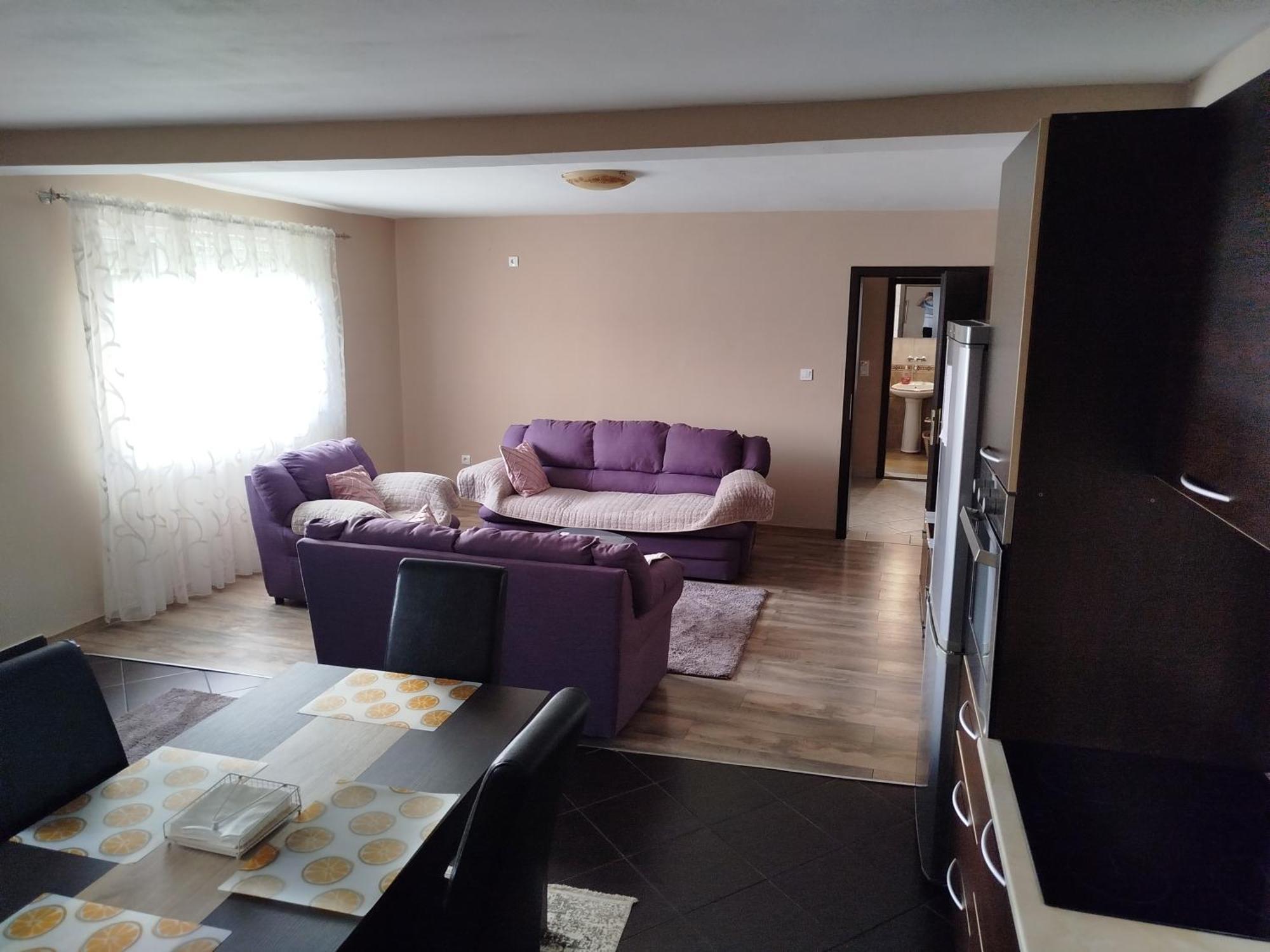 Apartment Filipovic بودغوريتْسا المظهر الخارجي الصورة